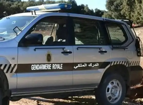 عملية أمنية ناجحة بقيادة الموسطاش رئيس المركز الترابي للدرك الملكي بتارودانت تسفر عن توقيف شخصين بأفريجة